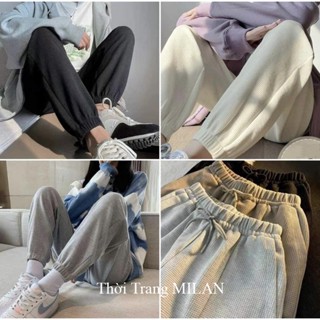 Quần ống rộng chất tổ ong bo gấu chun chân dày dặn - Quần Jogger thể thao nỉ cạp chun dây rút Unisex phong cách Ulzzang