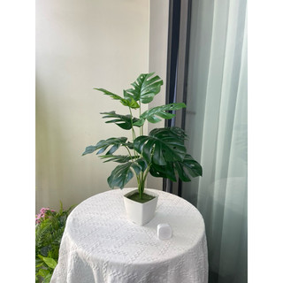 Cây giả - cây lá rùa decor 50cm