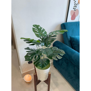 Cây giả - cây lá rùa decor 50cm