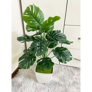 Cây giả - cây lá rùa decor 50cm