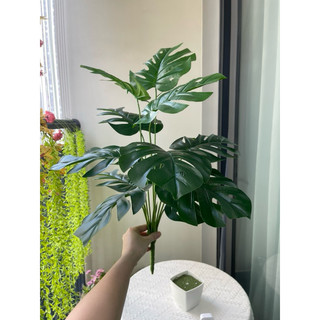 Cây giả - cây lá rùa decor 50cm