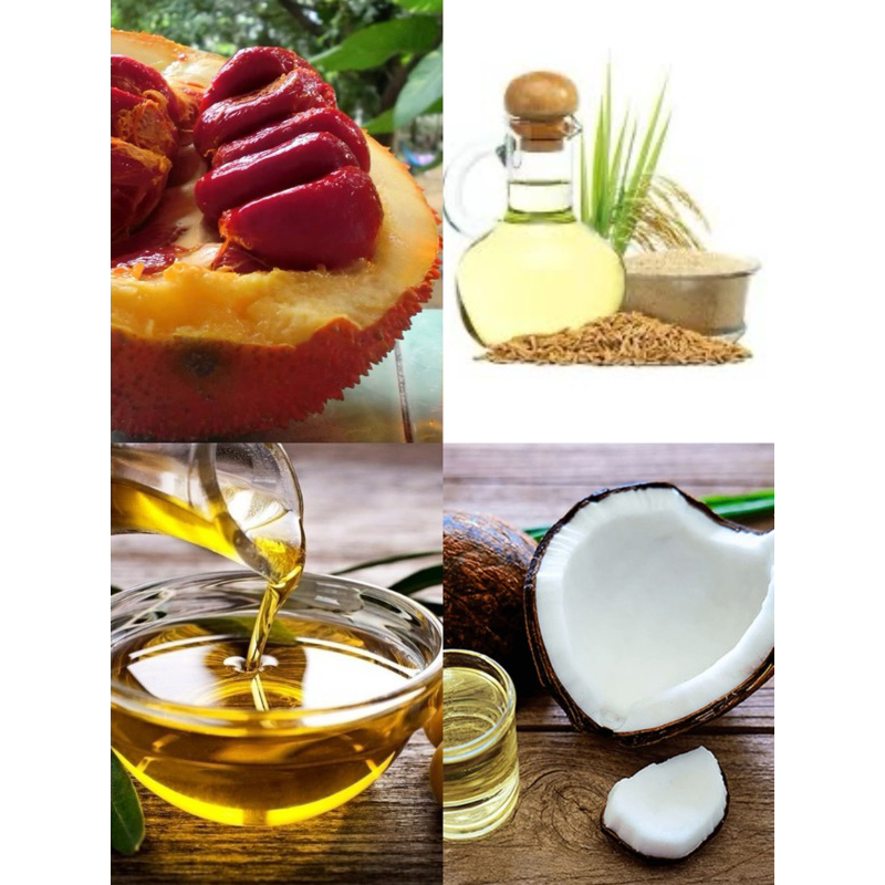 Dầu làm son handmade dừa,olive,cám gạo,gấc