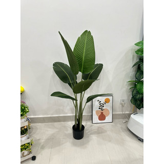 cây giả- cây chuối lá mờ cao 1m2
