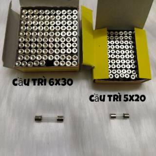 Combo 20 chiếc cầu chì thủy tinh 5x20