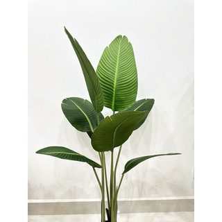 cây giả- cây chuối lá mờ cao 1m2