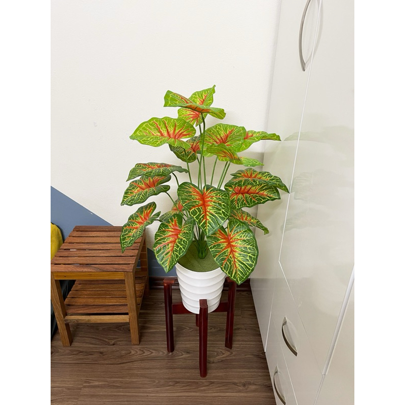 CÂY MÔN ĐỎ 70CM- CÂY GIẢ DECOR TRANG TRÍ NHÀ CỬA
