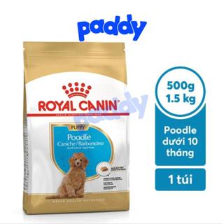 Hạt Cho Chó Con Poodle Royal Canin Poodle Puppy