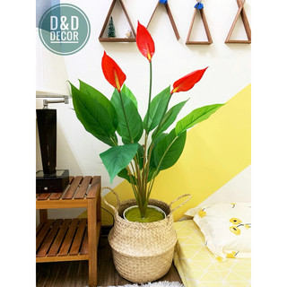 Cây giả - Cây Lan Ý cao 90cm decor trang trí nhà cửa