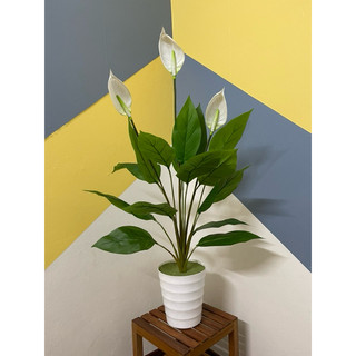 Cây giả - Cây Lan Ý cao 90cm decor trang trí nhà cửa