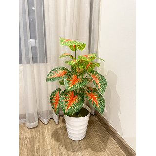 CÂY MÔN ĐỎ 70CM- CÂY GIẢ DECOR