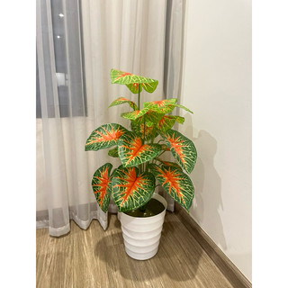 CÂY MÔN ĐỎ 70CM- CÂY GIẢ DECOR