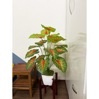CÂY MÔN ĐỎ 70CM- CÂY GIẢ DECOR