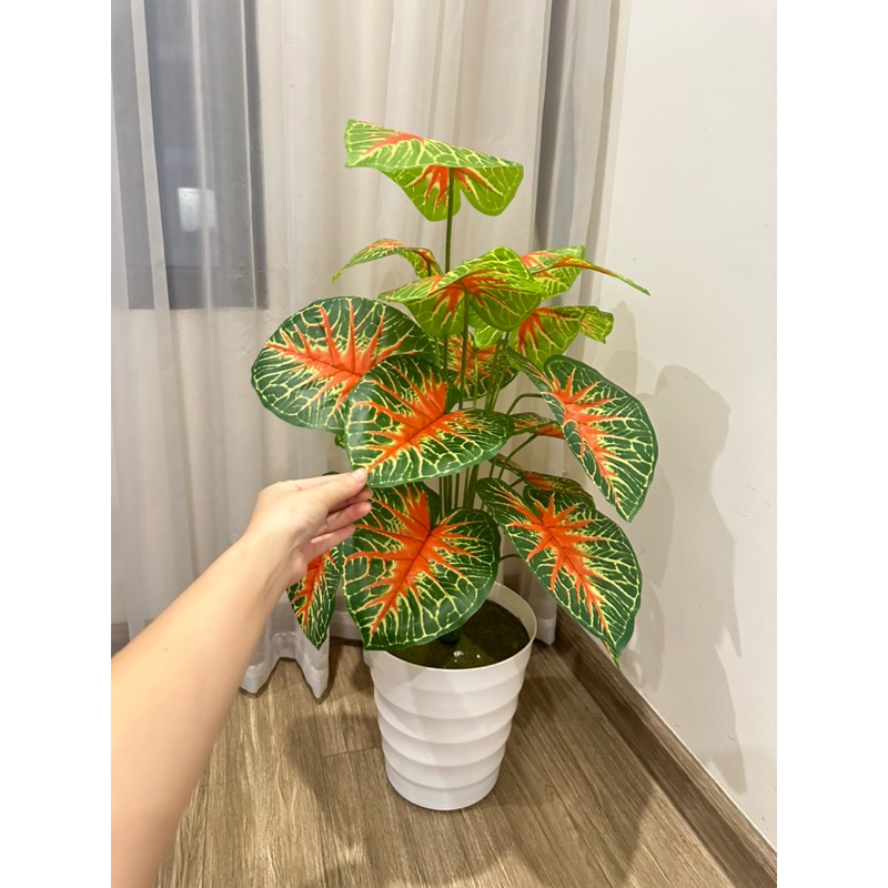 CÂY MÔN ĐỎ 70CM- CÂY GIẢ DECOR