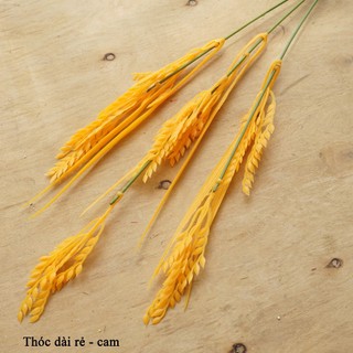 Hoa Nhựa 🌺 Cành Lúa Thóc Giả, Bông Lúa Nhân Tạo