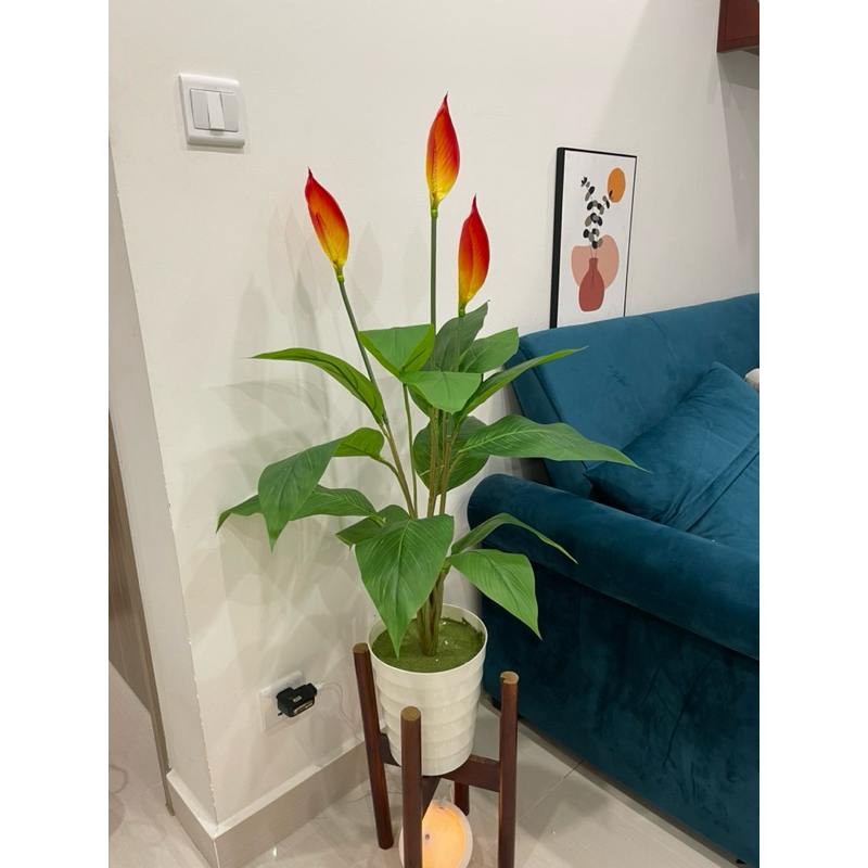 Cây giả - Cây Lan Ý cao 90cm decor trang trí nhà cửa