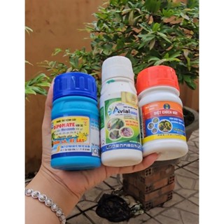 Bộ Ba Đốm lá, nấm hồng, thán thư, s âu, bo trĩ