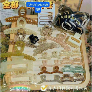 set 111 phụ kiện cặp càng cua lông cao cấp
