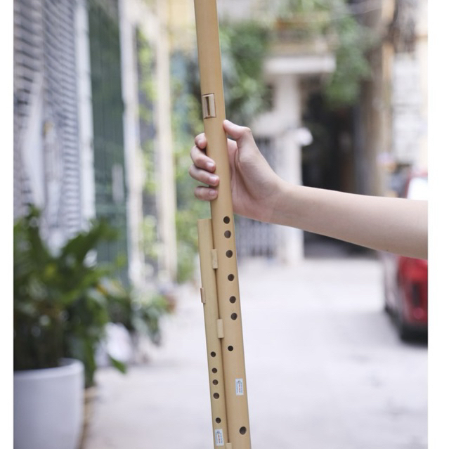 Cặp sáo mèo Việt - Sáo H'Mông