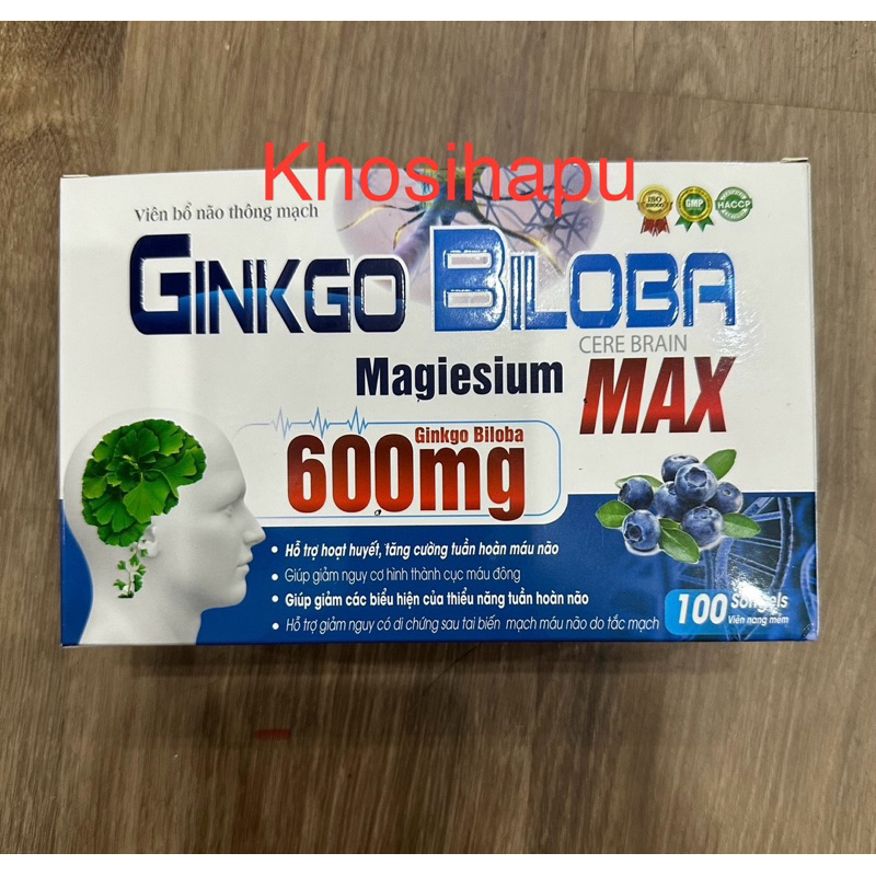 Viên uống bổ não thông mạch Ginkgo Biloba 600mg hỗ trợ hoạt huyết tăng cường tuần hoàn não phục hồi sau biến chứng 100v