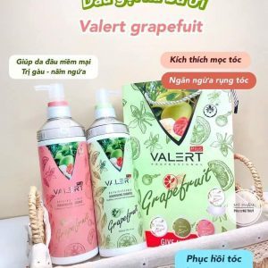 DẦU GỘI DẦU XẢ BƯỞI GRAPEFRUIT PLUS CHỐNG RỤNG TÓC PHỤC HỒI HƯ TỔN 850ML HÀNG CHÍNH HÃNG CT53