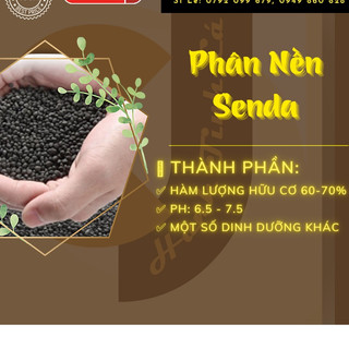 Phân Nền Thuỷ Sinh SENDA cho hồ cá