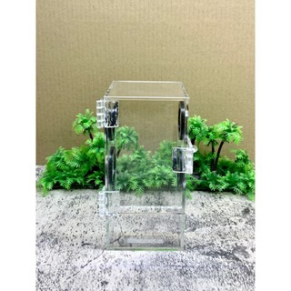 Hộp Nuôi Nhện Cây 8-8-16cm