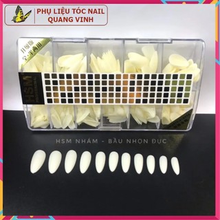 Móng úp nhám HSM (hộp 500 móng 4 phom)