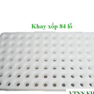 Khay xốp ươm hạt 84 lỗ