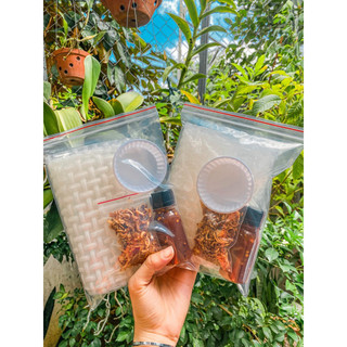 Bánh Tráng Muối Chấm Tắc + Hành phi đô s.g