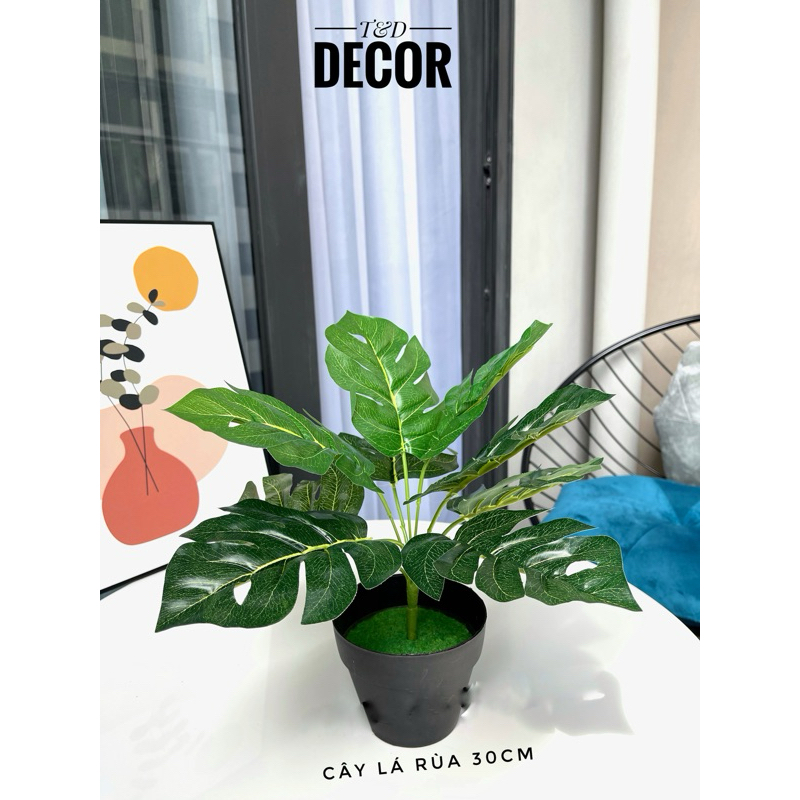 Cây giả - Cây lá rùa Decor 30cm để bàn làm việc hoặc trồng tiểu cảnh, làm tường cây