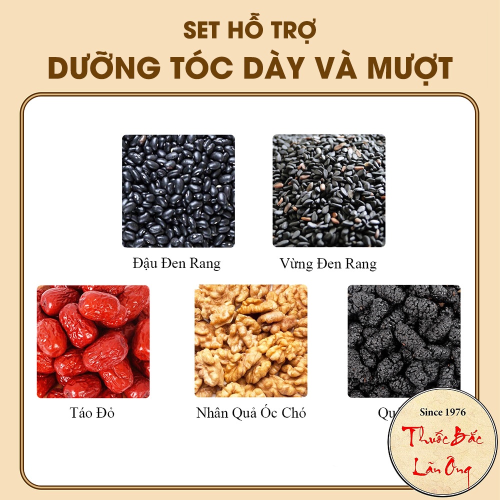 Dưỡng tóc dày và mượt ( Đậu đen, óc chó, táo đỏ, dâu tằm, vừng đen) - Lãn Ông