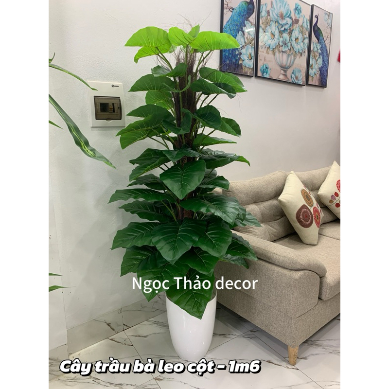 cây trầu bà leo cột giả 1m6,cây trầu bà giả, cây giả trang trí, cây giả decor
