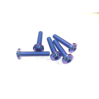 ỐC TITANIUM GR5 8x30 HOẶC 8X40