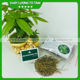 Diệp hạ châu khô 100g, cây chó đẻ đắng răng cưa, hỗ trợ tiểu đường, mát gan, lợi tiểu, sỏi thận