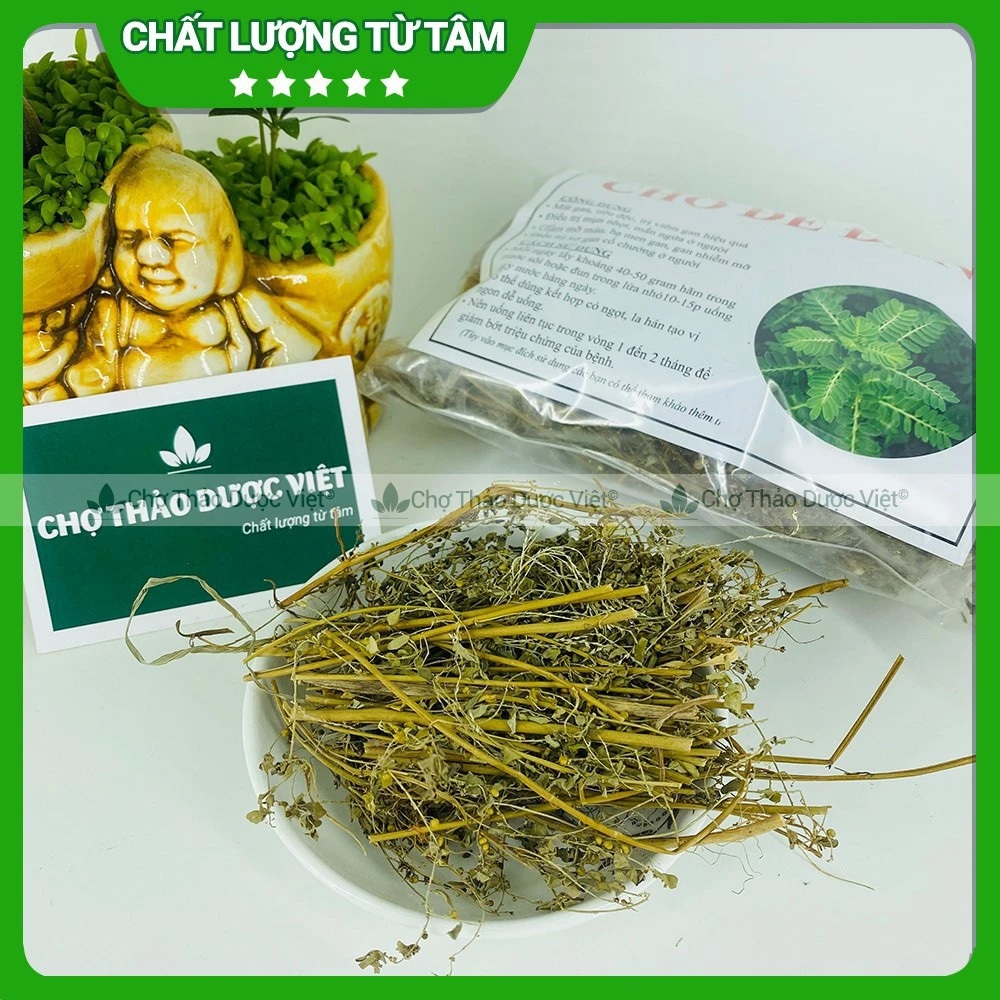 Diệp hạ châu khô 100g, cây chó đẻ đắng răng cưa, hỗ trợ tiểu đường, mát gan, lợi tiểu, sỏi thận
