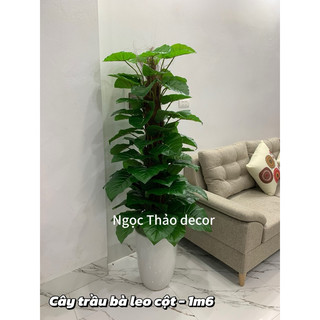 cây trầu bà leo cột giả 1m6,cây trầu bà giả, cây giả trang trí, cây giả decor