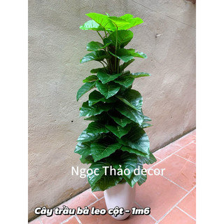 cây trầu bà leo cột giả 1m6,cây trầu bà giả, cây giả trang trí, cây giả decor