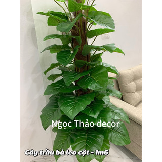 cây trầu bà leo cột giả 1m6,cây trầu bà giả, cây giả trang trí, cây giả decor