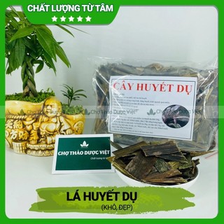Lá huyết dụ khô 100g, hỗ trợ điều hòa kinh nguyệt, bổ máu, giảm đau nhức xương khớp