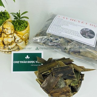 Lá huyết dụ khô 500g, hỗ trợ điều hòa kinh nguyệt, bổ máu, giảm đau nhức xương khớp