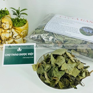 Cây lá gan khô 1kg, lá mát gan rừng, hỗ trợ giải độc, hạ men gan, bảo vệ gan, thanh lọc cơ thể
