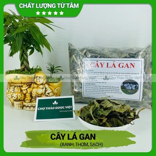Cây lá gan khô 1kg, lá mát gan rừng, hỗ trợ giải độc, hạ men gan, bảo vệ gan, thanh lọc cơ thể