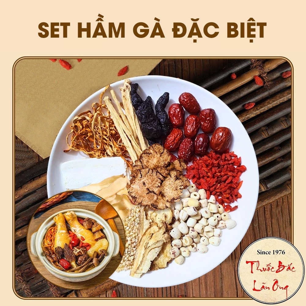 Gói gia vị hầm gà đặc biệt, set 11 vị nấu canh, lẩu, hầm chim câu, chân giò, thơm ngon, bổ dưỡng