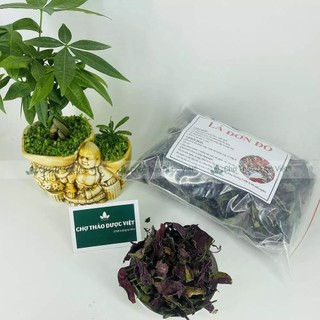 Lá đơn đỏ khô 500g, hỗ trợ giảm mẩn ngứa, mề đay, mụn nhọt, các vấn đề ngoài da