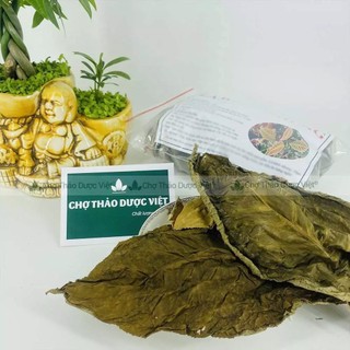 Lá khôi nhung khô 1kg, lá khôi tía, hỗ trợ giảm đau dạ dày, đại tràng, tốt cho tiêu hóa
