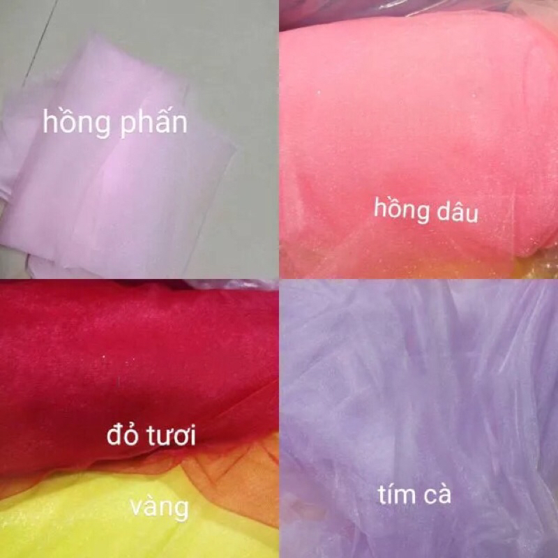 Vải voan lưới ánh nhũ