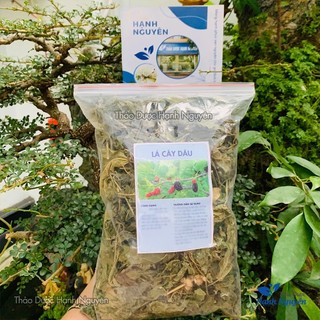 Lá dâu tằm khô 100g (Tang diệp)
