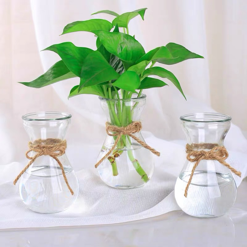 Bình Thuỷ Tinh Loe Trơn 400ml