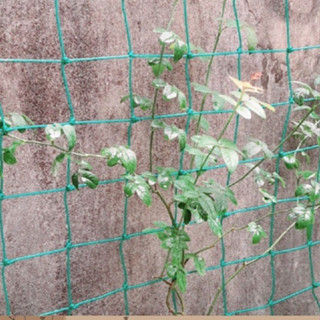  Lưới cước làm giàn leo cho cây trồng ⚡ SIÊU BỀN ⚡ Lưới cước chắn sân bóng đá bóng chuyền - lưới cước làm vườn hàng L1 