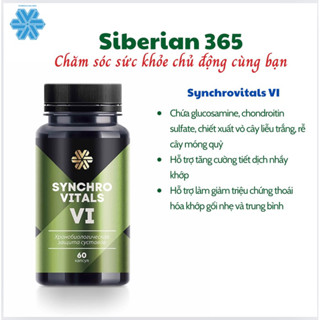 Synchrovitals VI - Siberian Wellness - Bảo vệ sinh học thời gian của khớp - Hộp 60 viên